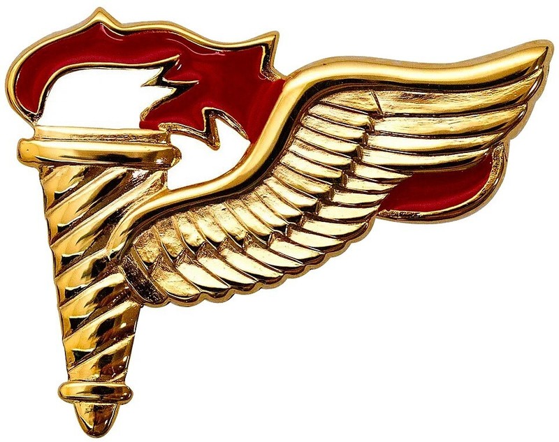 US ARMY AIRBORNE SPECIAL FORCES PATHFINDER METAL WINGS PARACHUTIST BADGE