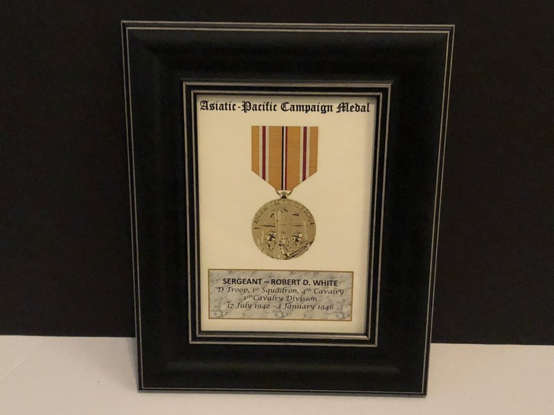 ASIATIC-PACIFIC CAMPAIGN MEDAL ~ 5x7 Medal Print with Rank, Name, Unit, etc. gallery