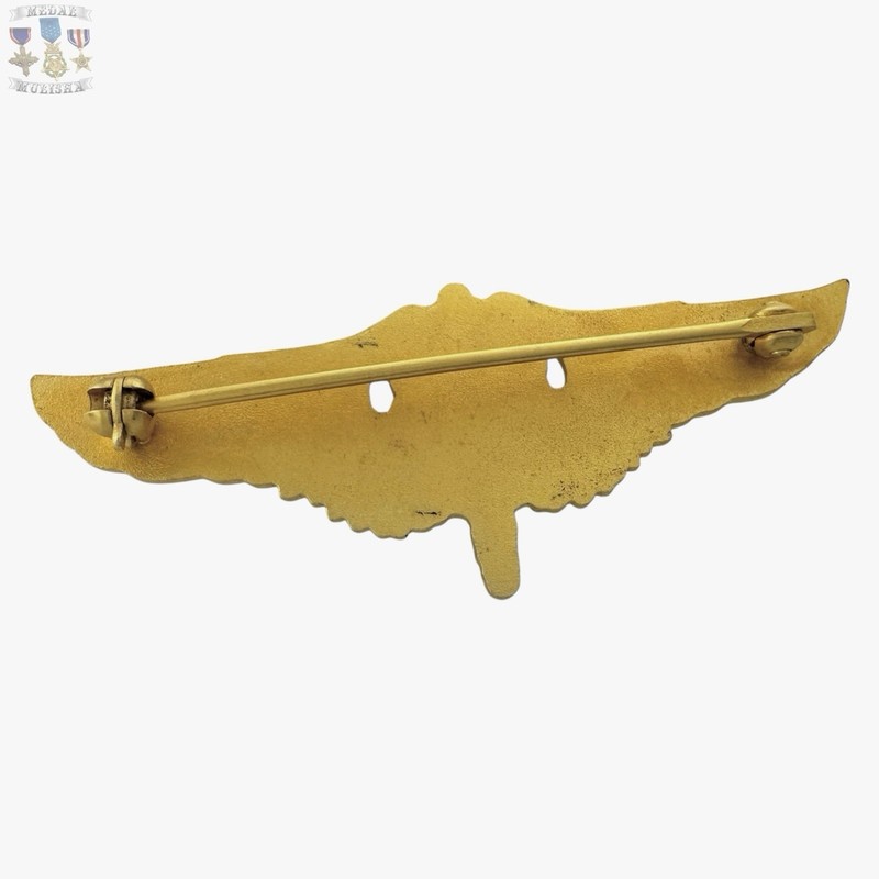 FLIGHT SURGEON WINGS BADGE 2” SIZE INSIGNIA REPRODUCTION STRIKE gallery