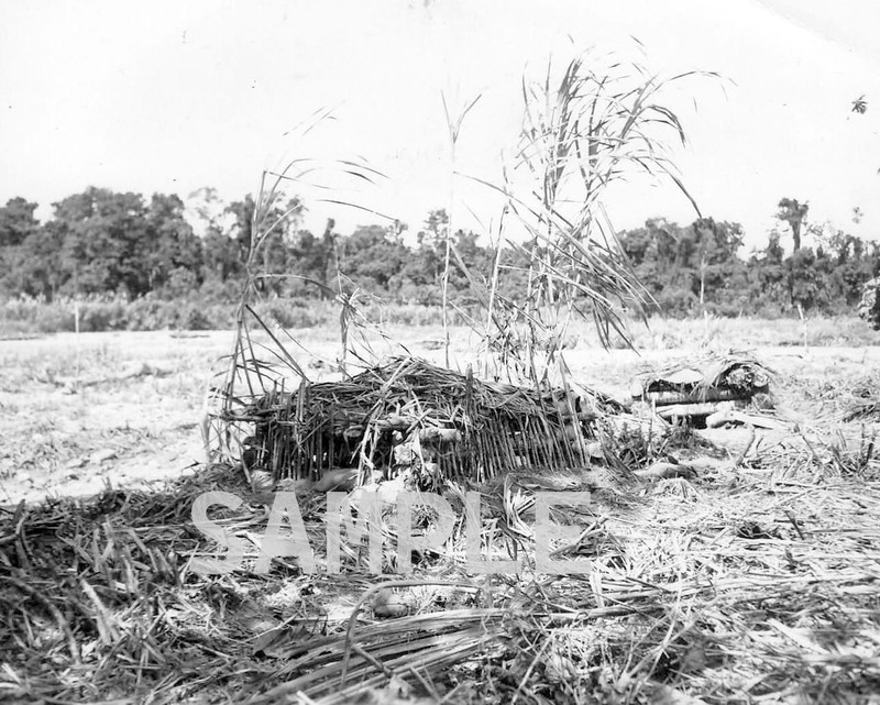 Japanese Pillbox On Biak 1944 WORLD WAR II WWII WW2 8x10 Photo 142c