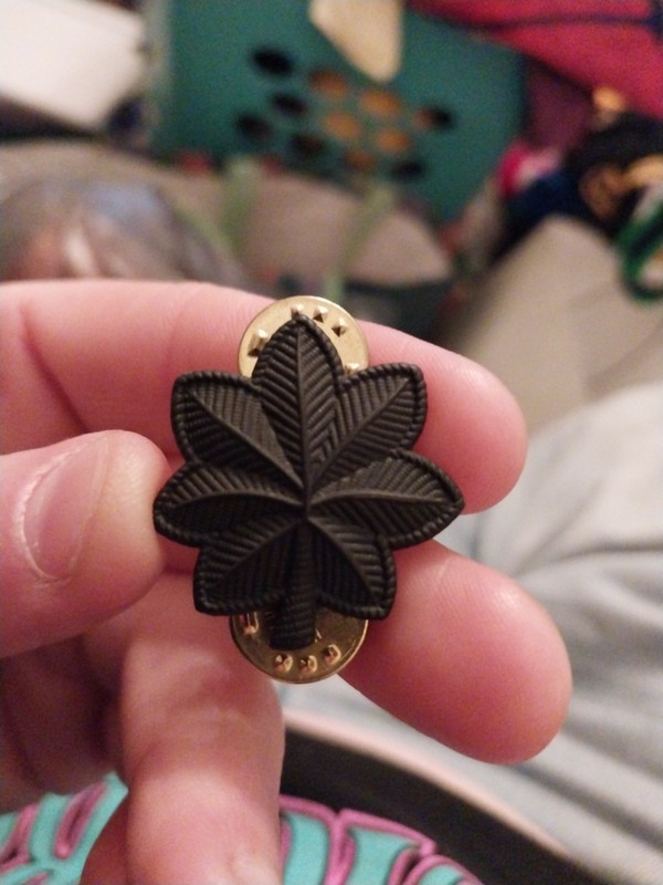 WWII US ARMY AIR FORCES MAJOR OAK LEAF RANK INSIGNIA PIN BACK *