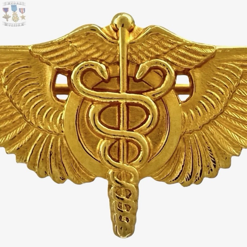 FLIGHT SURGEON WINGS BADGE 2” SIZE INSIGNIA REPRODUCTION STRIKE gallery