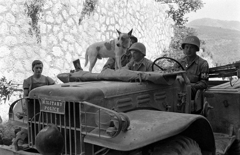 WW2 Photo WWII US Army 3rd Infantry Military Police with Dog Italy 1944 / 1408