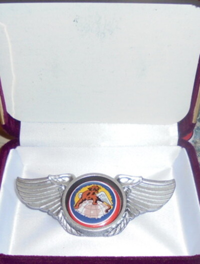 Tuskegee Airmen Unit Bomber Group Squadron Fighter Wing Badge AAF CAS P 39 47