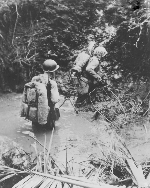 Marines crossing stream on Guam World War II WWII WW2 8×10 Photo 793c