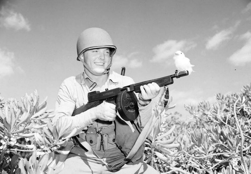 WW2 Photo WWII US Soldier M1 Thompson Midway Atoll 1942 World War Two / 5311
