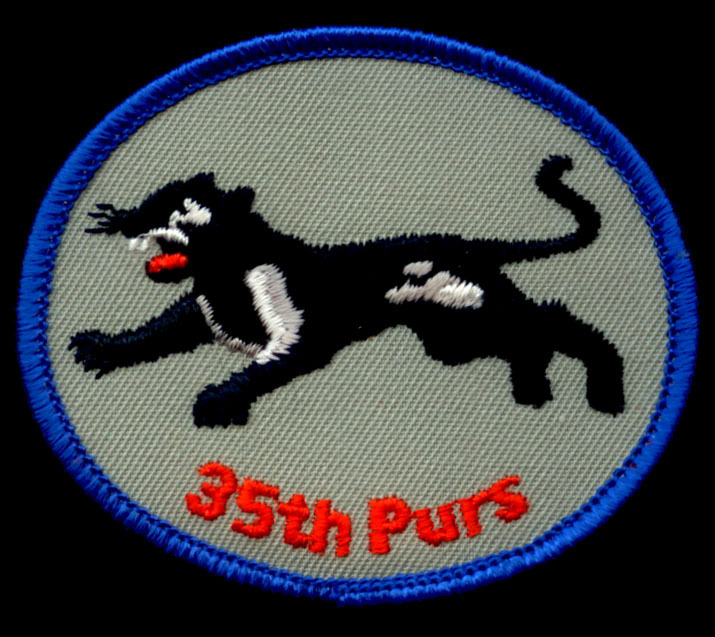 35TH PURS Squadron WW2 embroidered patch Panther logo Air Force USAF