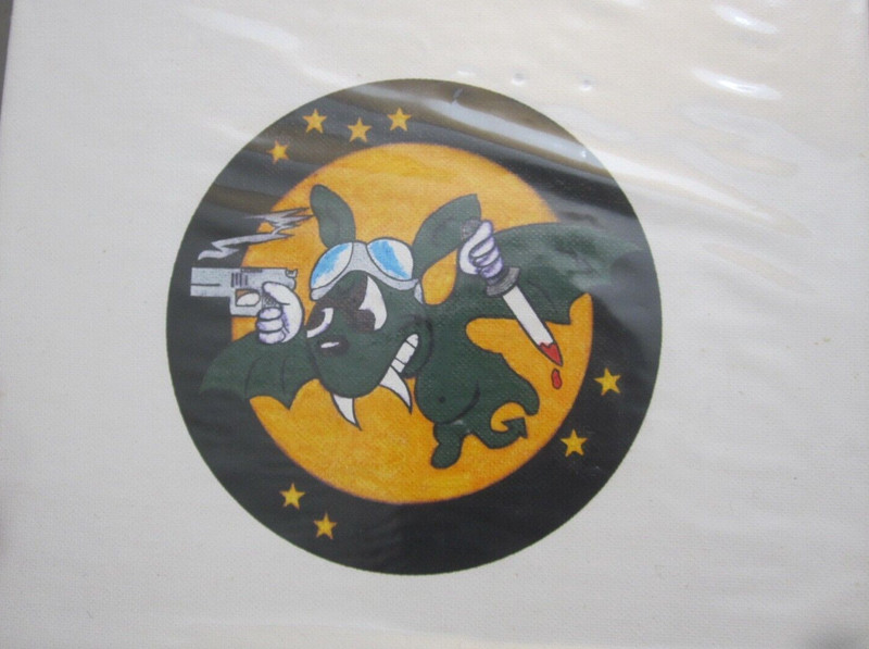 422nd Night fighter Squadron Patch Painted on Canvas 1993 Signed