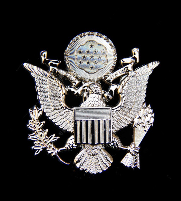 US Air Force Cap Badge Pin Insignia Silver