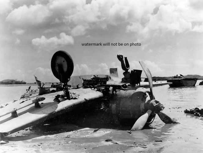 Japanese Dive Bomber shot down on Guam Beach 8″x 10″ World War II Photo #155