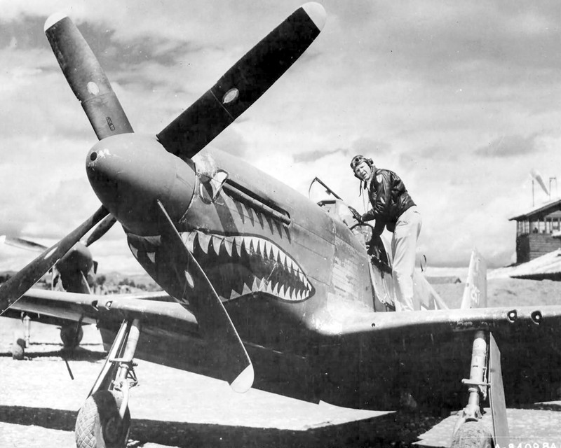 North American P-51 Mustang World War II WWII WW2 8×10 Photo 491c