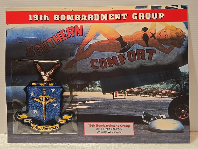 WWII Emblems Of Air War Patch 19th Bombardment Group  "In Alis Vincimus"