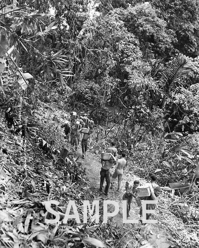Marines carry supplies up hand Grenade Hill on Bougainville WW2 8×10 Photo 66c