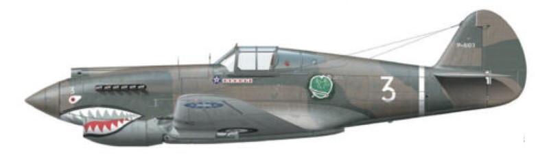 USAAF LEGENDARY WWII AVG FLYING TIGERS INSIGNIA: ADAM and EVE 1st PURSUIT SQN gallery