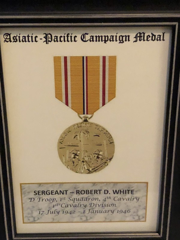 ASIATIC-PACIFIC CAMPAIGN MEDAL ~ 5x7 Medal Print with Rank, Name, Unit, etc. gallery