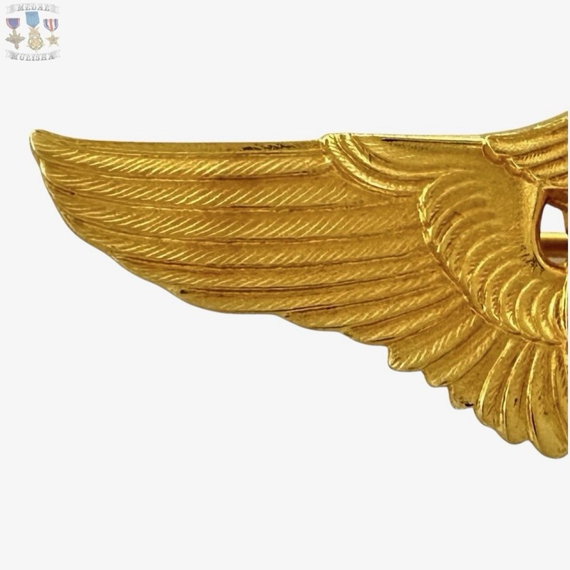 FLIGHT SURGEON WINGS BADGE 2” SIZE INSIGNIA REPRODUCTION STRIKE gallery