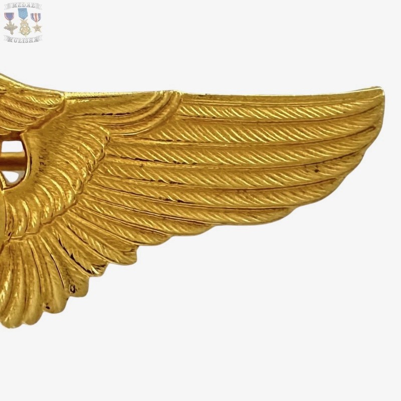 FLIGHT SURGEON WINGS BADGE 2” SIZE INSIGNIA REPRODUCTION STRIKE gallery