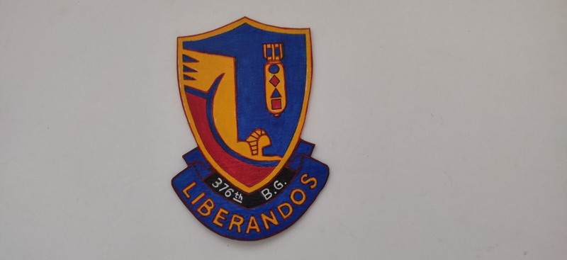 WW 2 376th Bomb Group . leather jacket patch