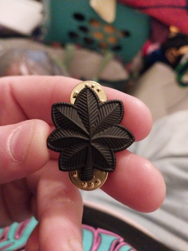 WWII US ARMY AIR FORCES MAJOR OAK LEAF RANK INSIGNIA PIN BACK * gallery