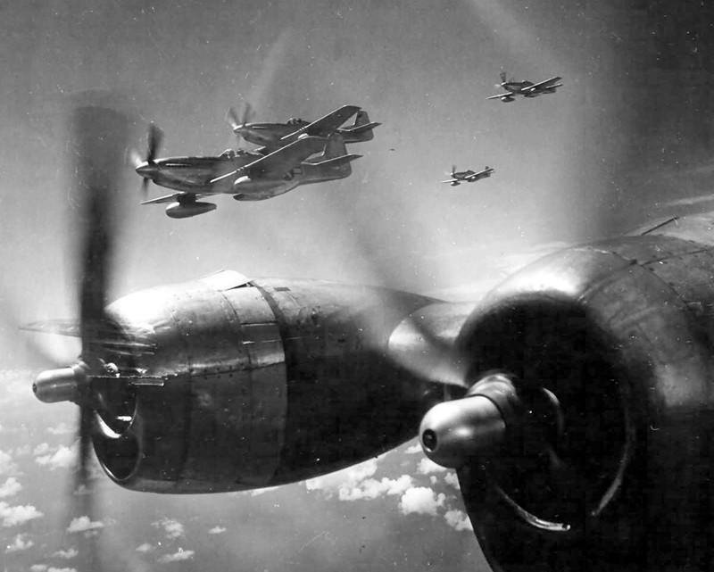 North American P-51 Mustang World War II WWII WW2 8×10 Photo 413c