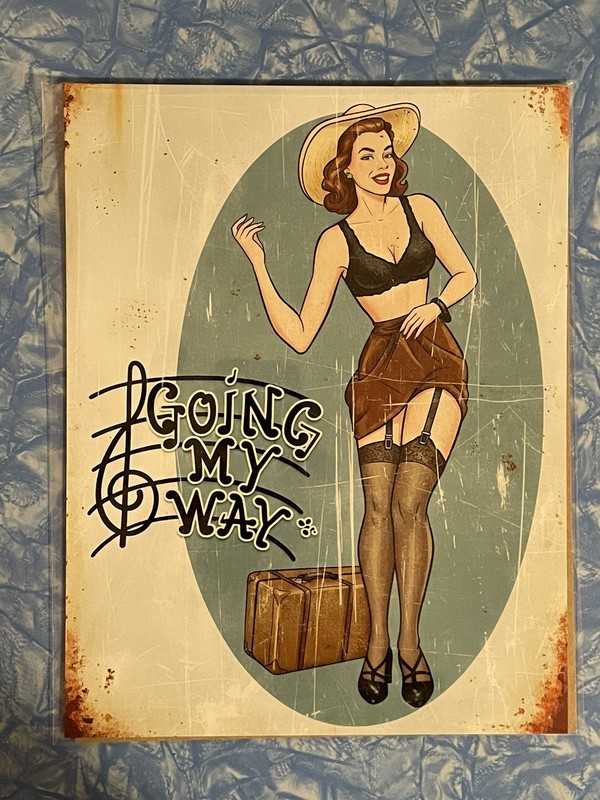 B-24 Liberator Bomber 11th Bomb Group Going My Way WW2 WWII Nose Art Print Plane