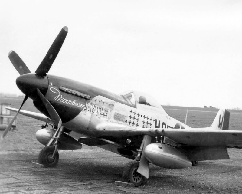 North American P-51 Mustang “Moonbeam McSwine” WWII WW2 8×10 Photo 511c