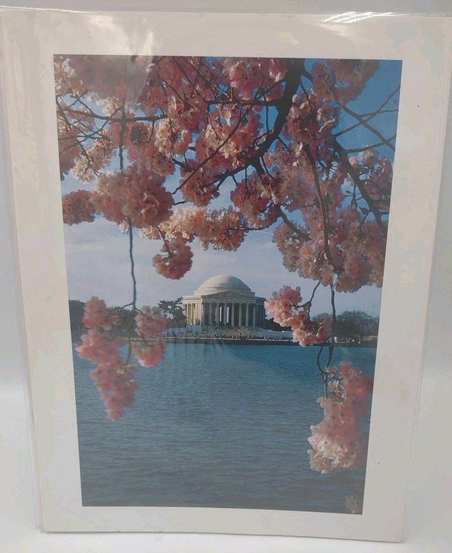 3 Washington DC White House Jefferson 9" x 12" photos prints W/ white border Lot gallery