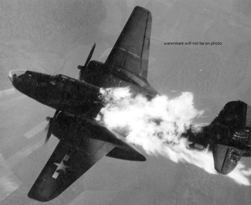Douglas A-20 hit by German flak 8″x 10″ World War II Photo Picture #213