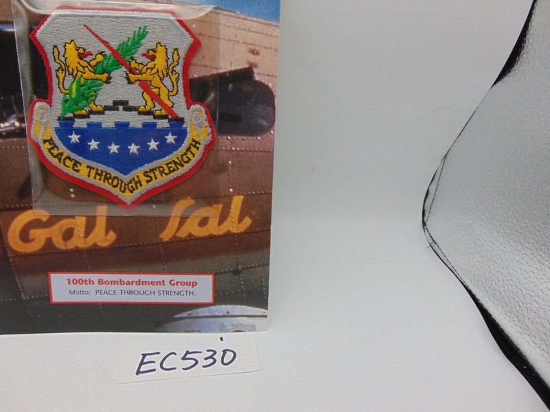 Willabee & Ward Emblems Of Air War WWII Patch 100th Bombardment Our Gal Sal