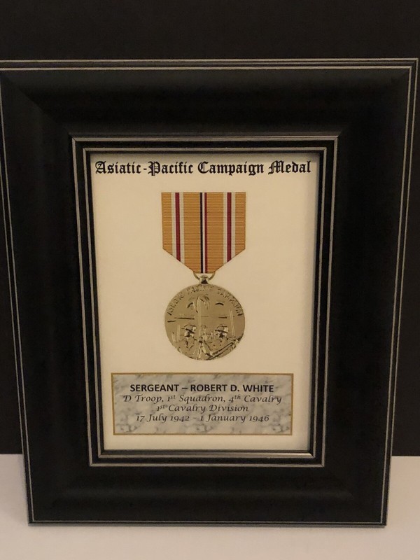 ASIATIC-PACIFIC CAMPAIGN MEDAL ~ 5×7 Medal Print with Rank, Name, Unit, etc.