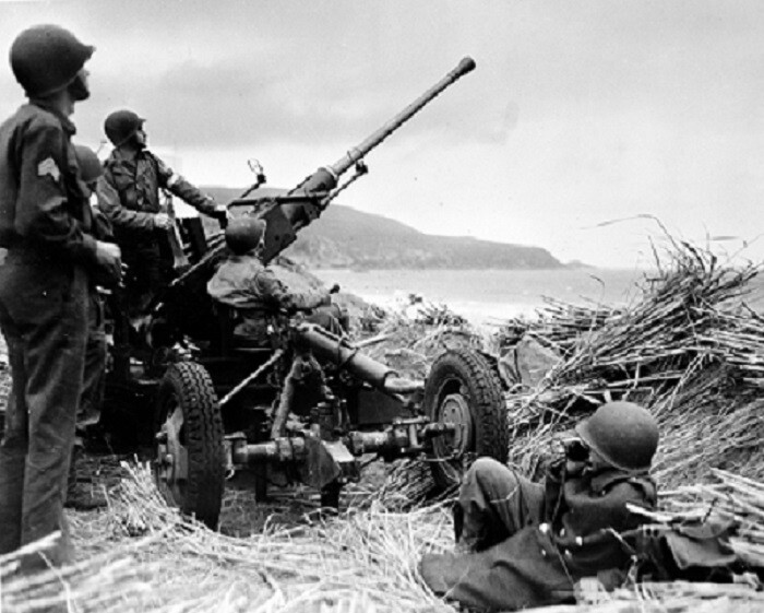 United States Anti-Aircraft Artillery Crew in Africa 8×10 WWII Photo WW2 340a
