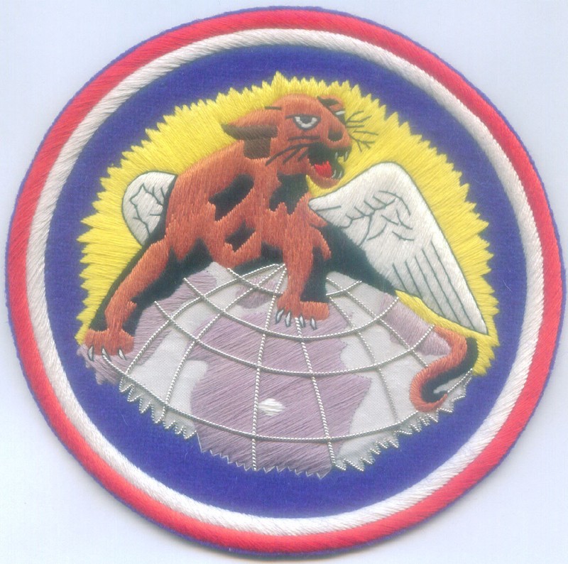 USAF Army AAF Tuskegee Airmen Air Force Corp 100 Fighter Pursuit Squadron WWII X