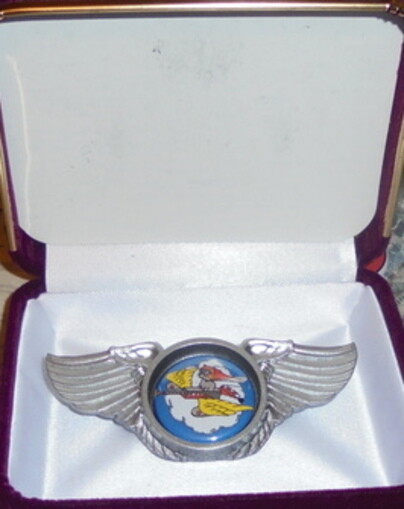 Tuskegee Airmen Unit Bomber Group Squadron Fighter Wing Badge 301 332 P 39 47 US