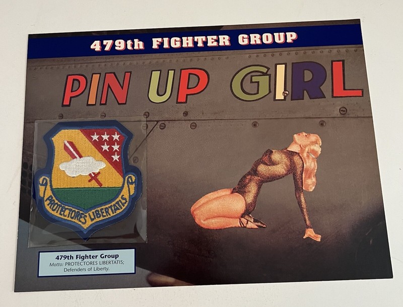 Emblems Of Air War Patch 479th Fighter Group Defenders Of Liberty Willabee Ward