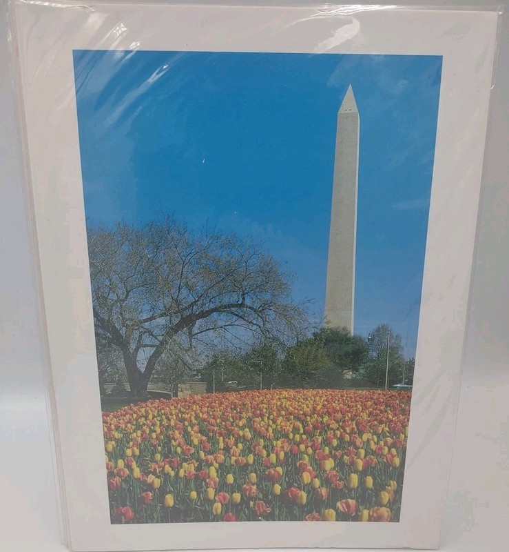 3 Washington DC White House Jefferson 9" x 12" photos prints W/ white border Lot gallery