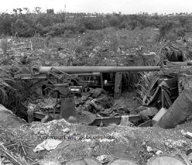 Deserted Japanese 75mm AA Battery on Guam 8″x 10″ World War II Photo 393