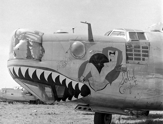 Nose art Consolidated B-24 Liberator Solid Comfort 5″x 7″ World War II Photo 417