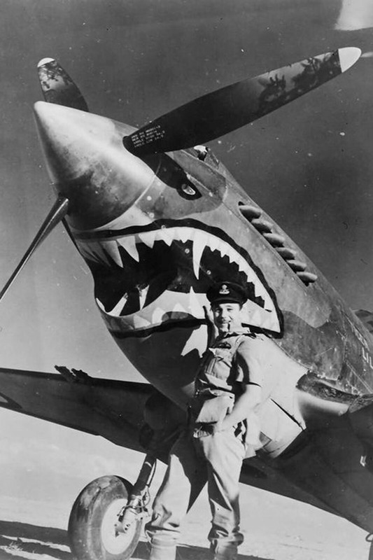 flying tigers aviation unit WW2 Photo Glossy 4*6 in ε017