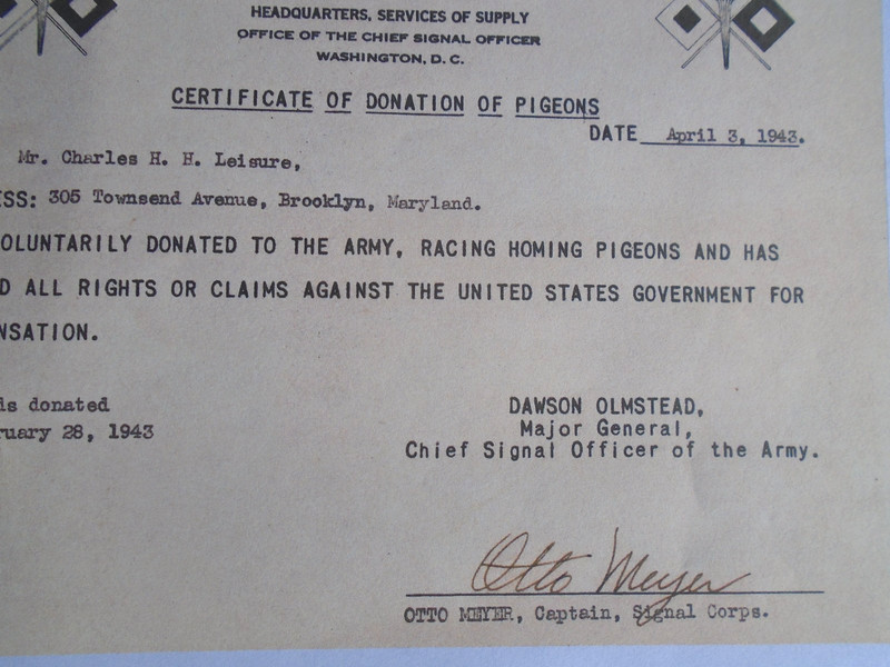WWII US Army Signal Corps pigeon donation form, COPY gallery