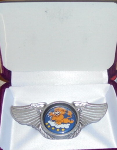Tuskegee Airmen Unit Bomber Group Squadron Fighter Wing Badge AAF CAS P 39 47