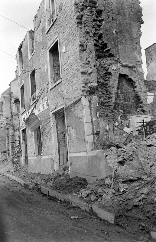 World War Two Photo WWII / Fighting in Normandy France July 1944 D-Day US Army
