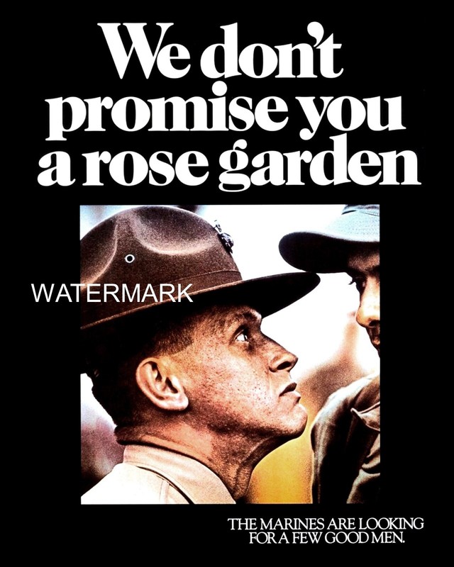 ARMY POSTER WE DON'T PROMISE A ROSE GARDEN MARINES VETERAN USMC 11 X 14 PHOTO