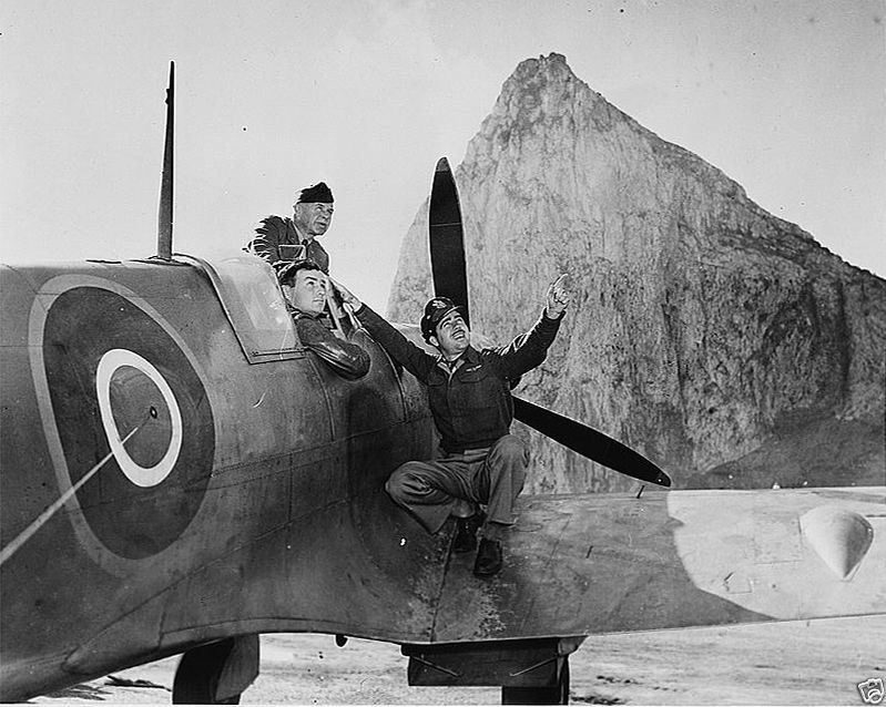 US Army Air Force men in a Spitfire observe a plane in flight New 8×10 Photo