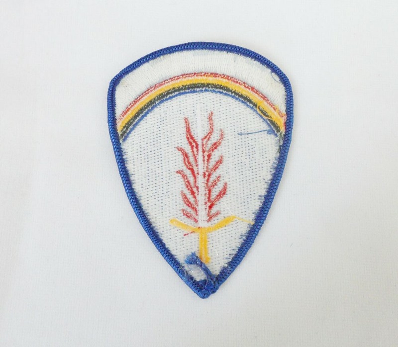WWII U.S. Army Europe USAREUR Embroidered Patch gallery