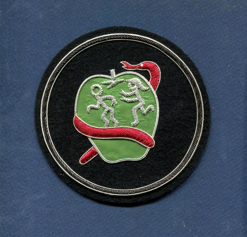 Bullion AVG 1st ADAM & EVE Squadron Flying Tigers P-40 AAC USAF CBI 5″ Patch