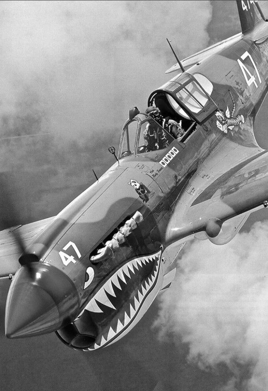 WW2 WWII Photo P-40 Warhawk Flying Tigers AVG USAAF World War Two / 5461