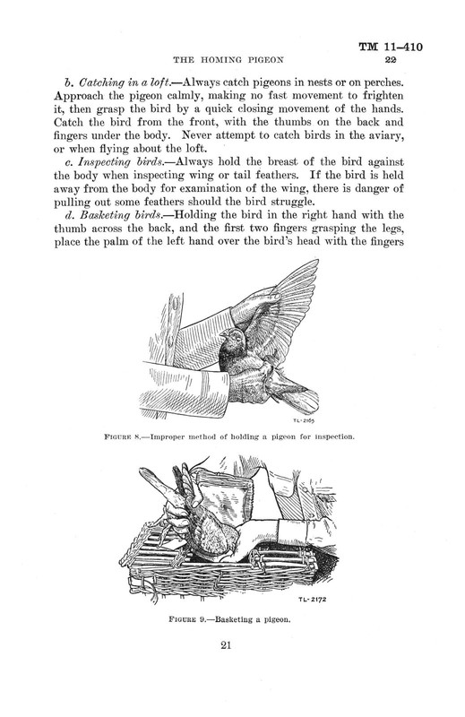 REPRINT HOMING PIGEON MANUAL 1940 76p TM 11-410 HIGH-QUALITY HALFTONE WWII gallery