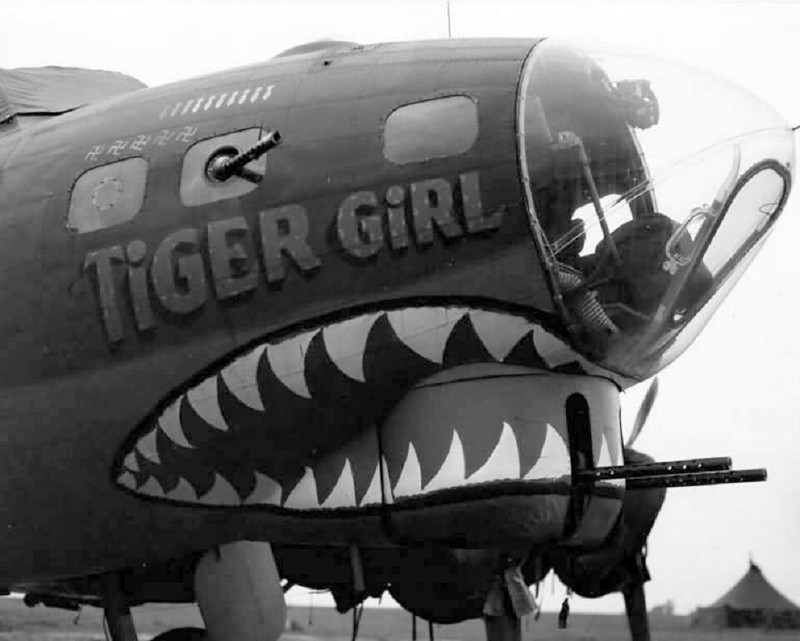 Boeing B-17 Flying Fortress Nose Art “Tiger Girl” Shark WWII 8×10 Photo 470a