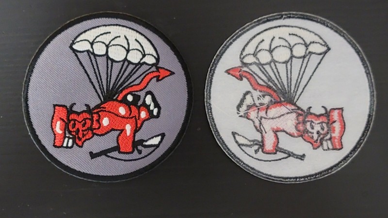 Reproduction WW2 US Army 508 Airborne Unit Patch PIR Parachute Infantry Regiment gallery