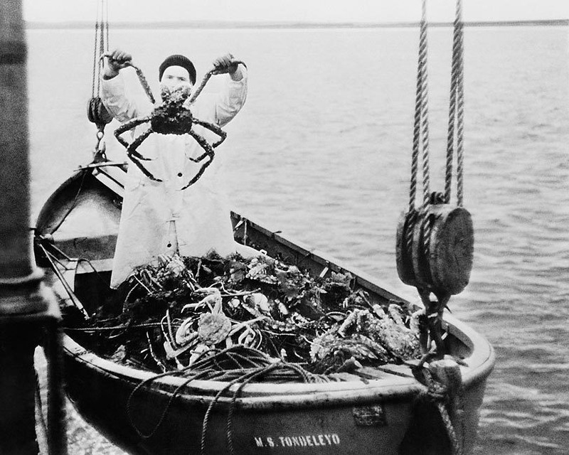 KING CRAB & FISHERMAN BERING SEA WWII ERA 8×10 GLOSSY PHOTO PRINT